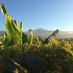 La Plantacion _agroturismo Hébergement de vacances La Orotava